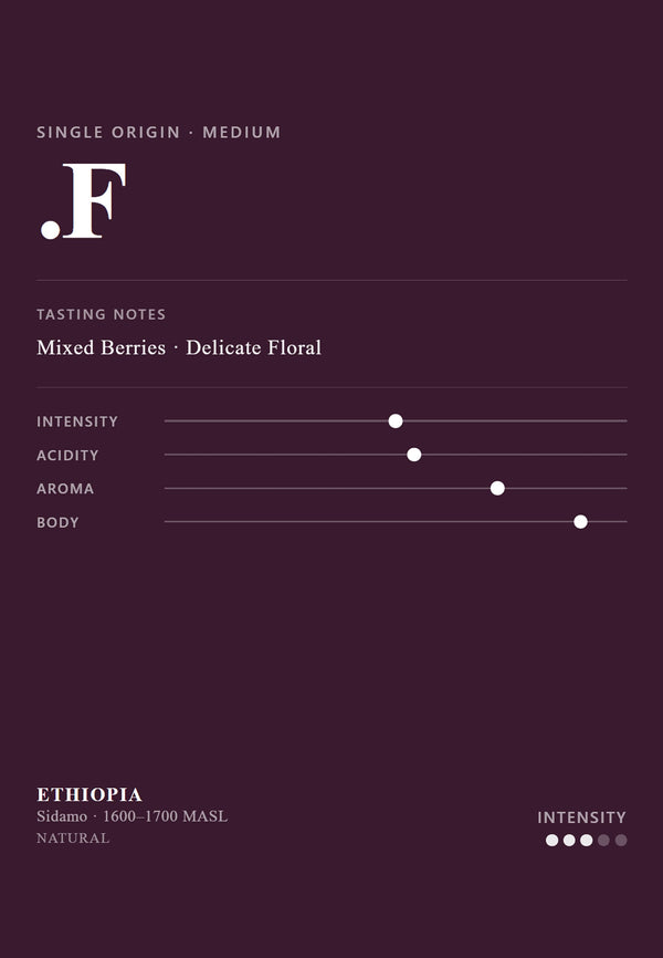 PULMUR .F - Single Origin Coffee Bean | Ethiopia Sidamo | Medium Roast